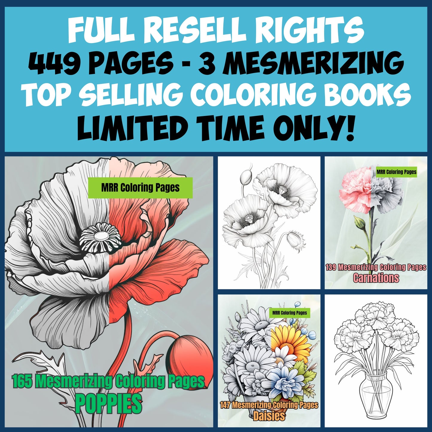 MRR 449 Coloring Pages, 3 Book Bundle with Full Master Resell Rights